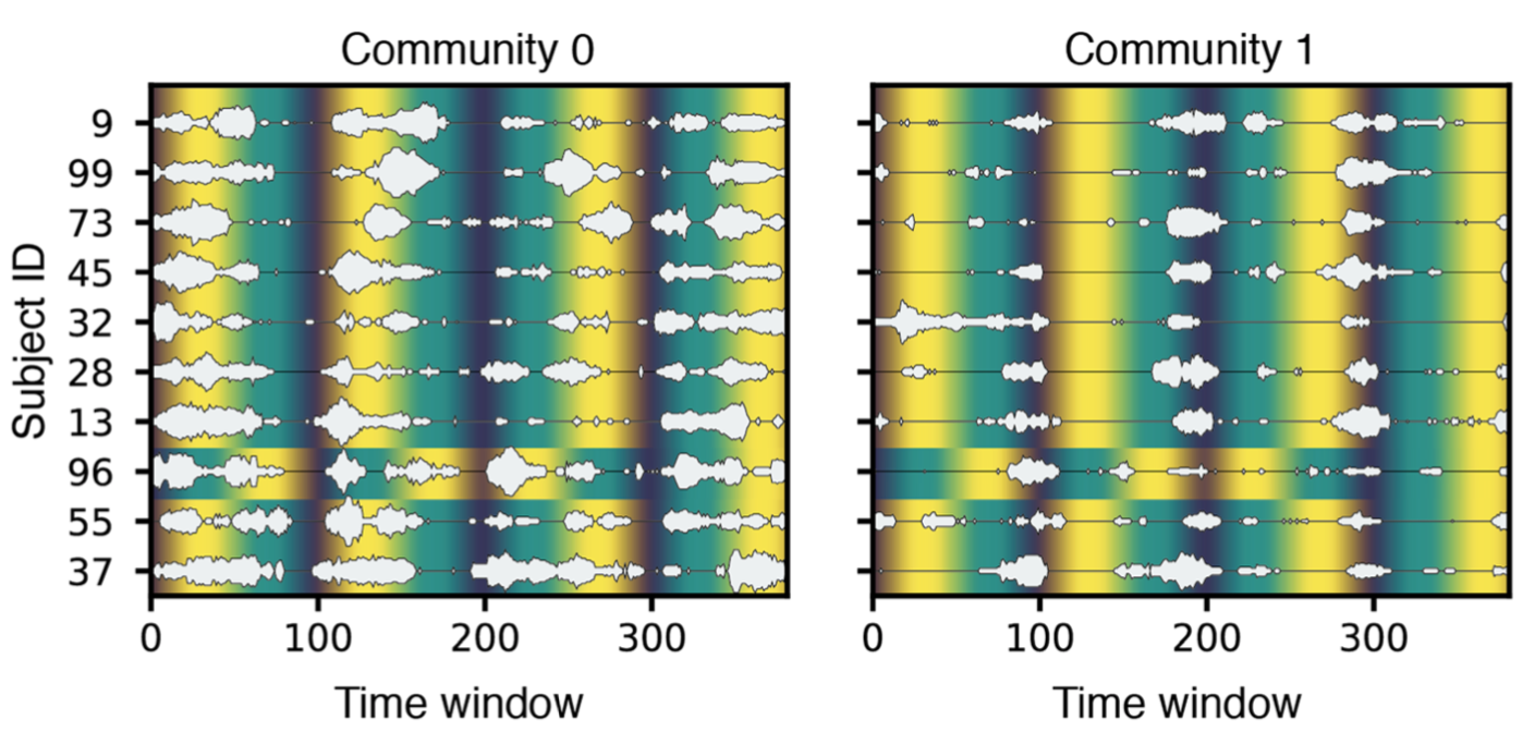 brain communities